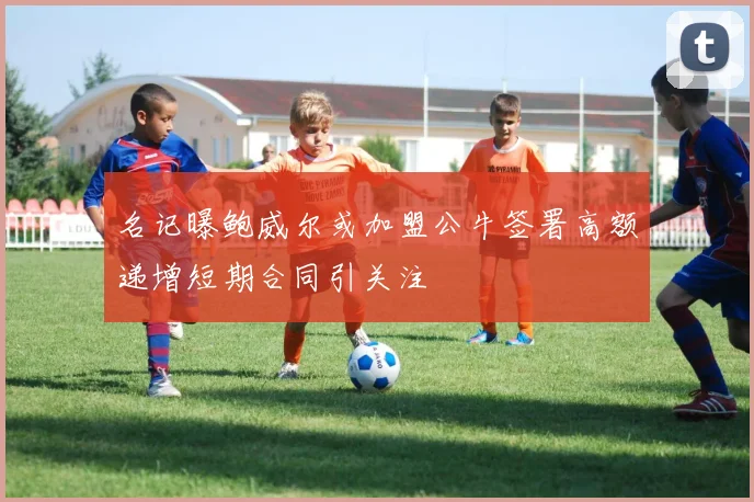 名记曝鲍威尔或加盟公牛签署高额递增短期合同引关注