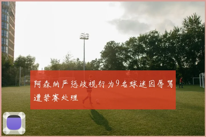 阿森纳严惩歧视行为9名球迷因辱骂遭禁赛处理