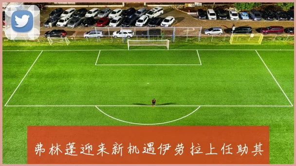 弗林蓬迎来新机遇伊劳拉上任助其发挥潜力