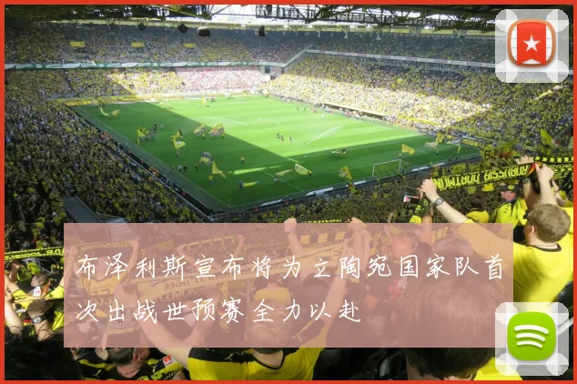 布泽利斯宣布将为立陶宛国家队首次出战世预赛全力以赴