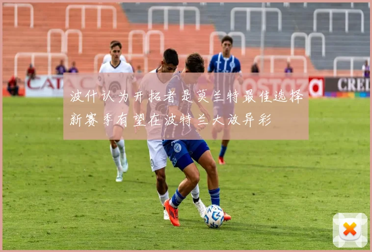波什认为开拓者是莫兰特最佳选择新赛季有望在波特兰大放异彩