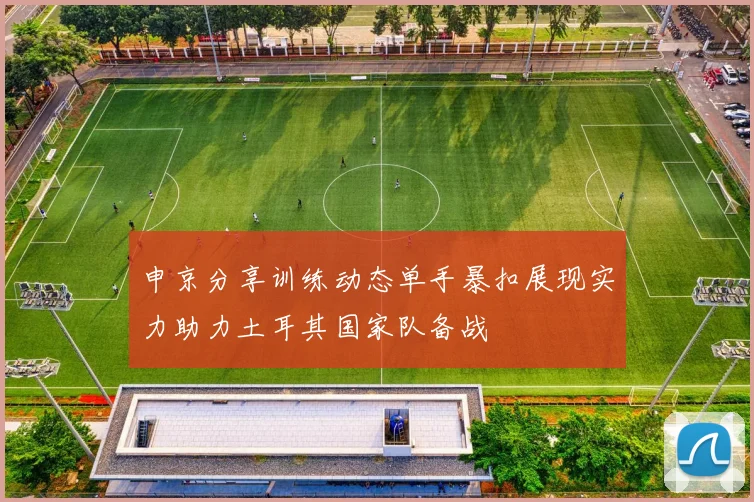 申京分享训练动态单手暴扣展现实力助力土耳其国家队备战